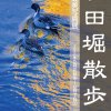 和田堀散歩／下瀬成美写真展